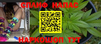 сатива Апшеронск