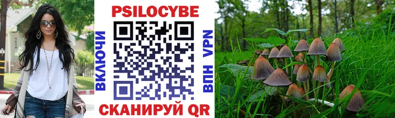 Псилоцибиновые грибы прущие грибы  Ачинск 